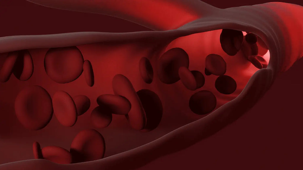 can massage guns cause blood clots